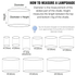 Instructional diagram titled 'HOW TO MEASURE A LAMPSHADE' showing a simple lampshade cylinder with diameter and height labels, plus a tip about an A4 paper profile and a list of common lampshade diameters with measurements in centimeters and inches.